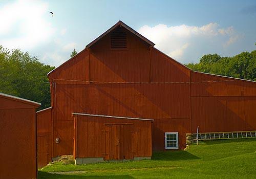 Photo: Red Barn 1, with Swallow, Washington, Connecticut, July 28, 2009,  4:37 pm Archival Pigment Print #1387