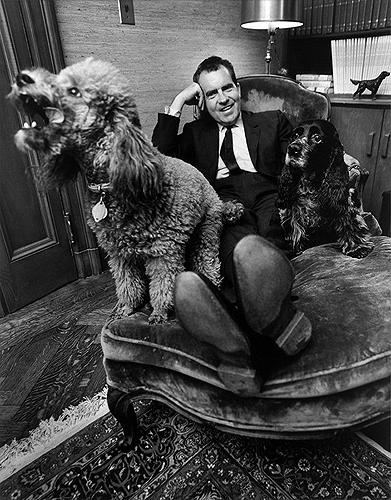 Richard Nixon relaxing with his poodle Vickie & his cocker spaniel Checkers, 1964<br/>