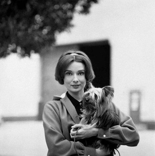 Audrey Hepburn and her pet dog
