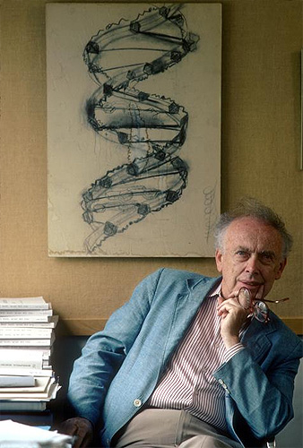 Nobel Laureate Dr. James Watson, co-discoverer of the DNA molecule. He is seated in front of a drawing of the first graphic representation of the molecule, done by a laboratory assistant on the day of the discovery, Cold Spring Harbor, New York. 1986.