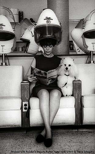 Woman and Poodle at Beauty Parlor, New York, 1961