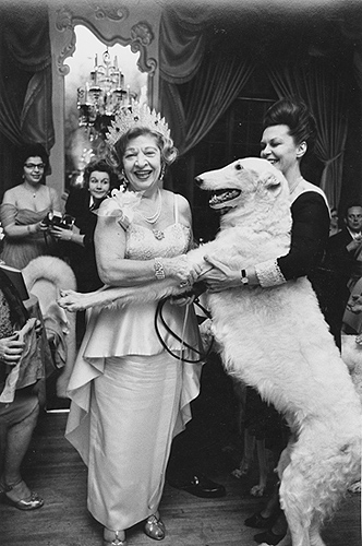 Woman with Wolfhound, White Russian Ball, New York, 1963