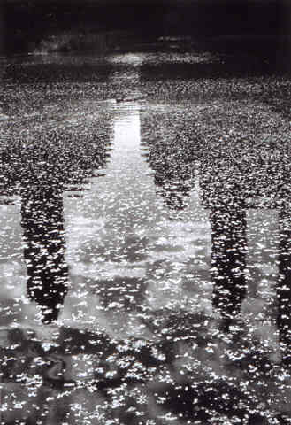 Broken Shadows, Central Park, New York, 1998