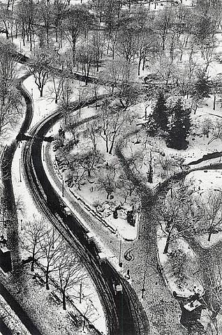 Winter's Etching, Central Park, New York City
