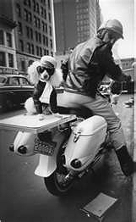 Motorcycle and Poodle, New York, 1964