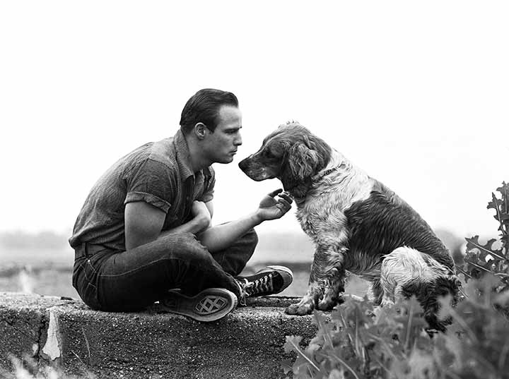 Marlon Brando and family dog, Libertyville, Illinois, 1950