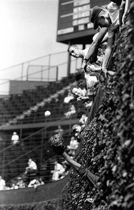 Catcher in the Vines, 1961