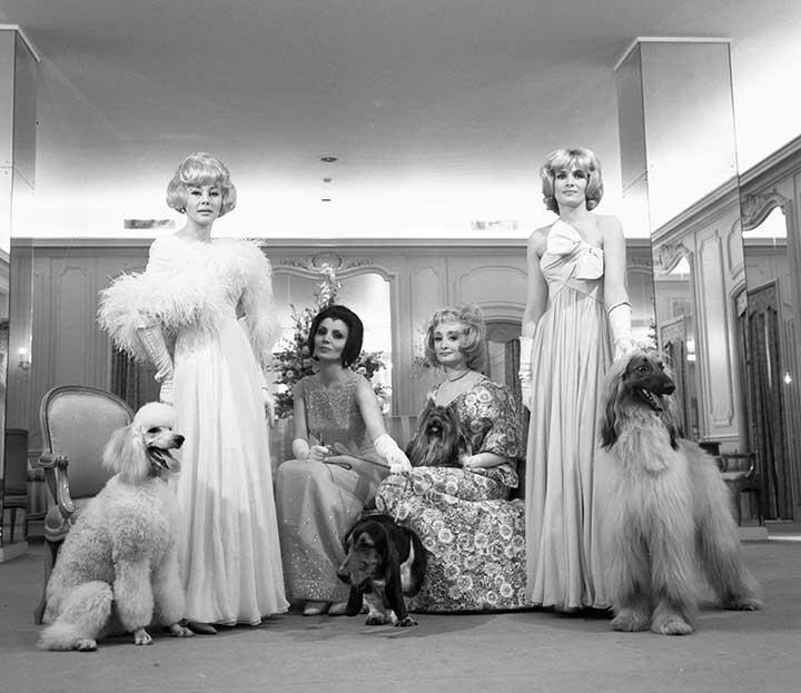 "Doggie Dos", 1963<br/>