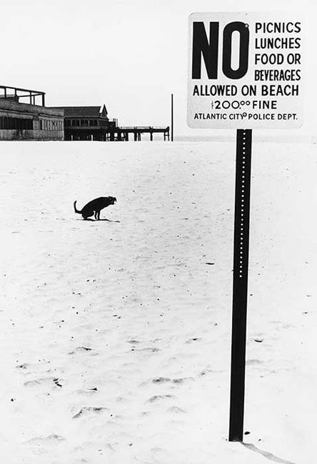 "No Dog on Beach", New Jersey, 1975<br/>