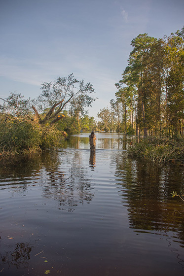 A woman overlooks a neighborhood slowly being swallowed by a river at Castle Hayne in New Hanover County, 2018