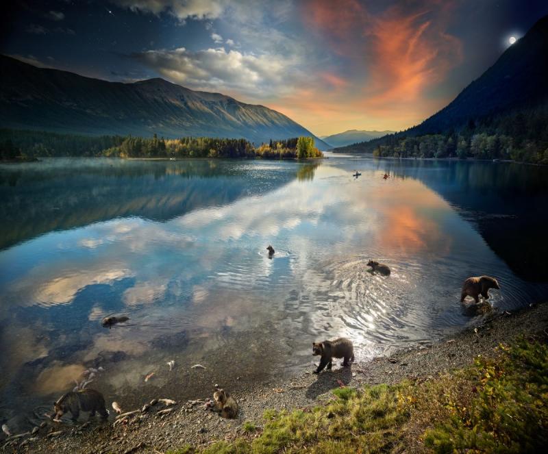  Grizzly Bears, Chilko Lake, B.C, Day to Night2022<br/><br/>Please contact Gallery for price