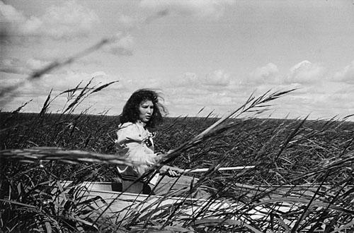 Obja Girl gathers rice, North Minnesota, 1964 Gelatin Silver print