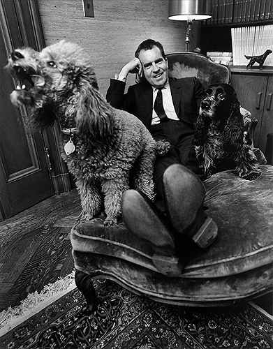 Richard Nixon relaxing with his poodle Vickie & his cocker spaniel Checkers, 1964