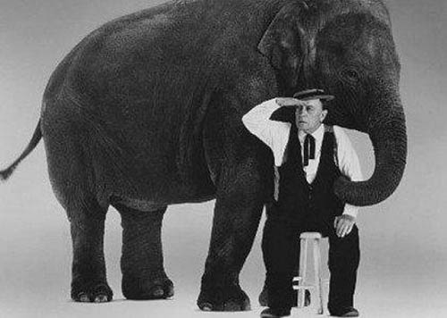 Buster Keaton, "What Elephant?"