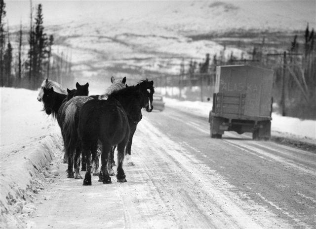 Photo: Alaska, 1959; Gelatin Silver print #170