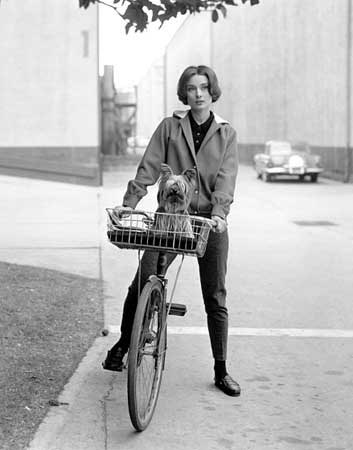 Audrey Hepburn On Her Bike With Pet Dog