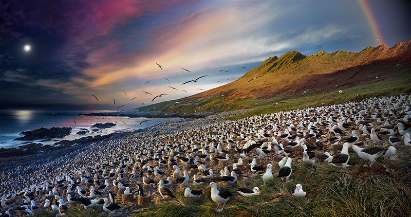 Jason, Falkland Islands, Day to Night, 2017<br/><br/>