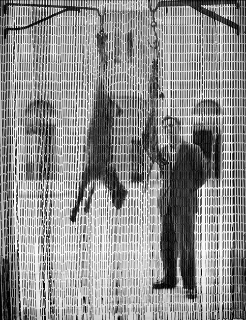 Hanging Goats, Termoli, Italy, 1947