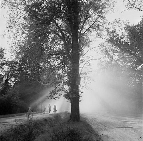 Photo: Road at Dawn, Luxembourg, 1947 Archival Pigment Print #2287