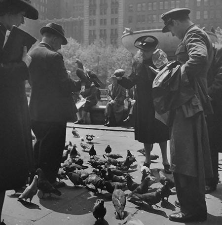 Feeding Pigeons, New York Gelatin Silver print