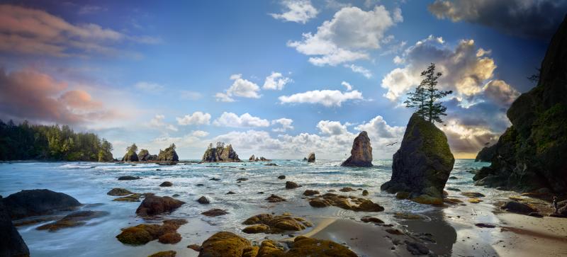 Shi Shi Beach at Olympic National Park, Washington, Day to Night, 2022<br/><br/>Please contact Gallery for price