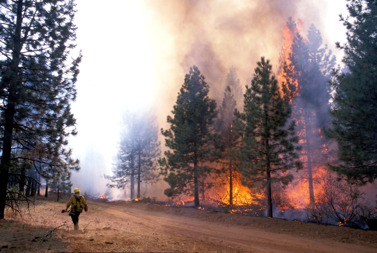 Wildfire Firefighter, California, 1999
