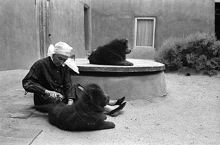 Georgia O'Keeffe grooms her dog,1966